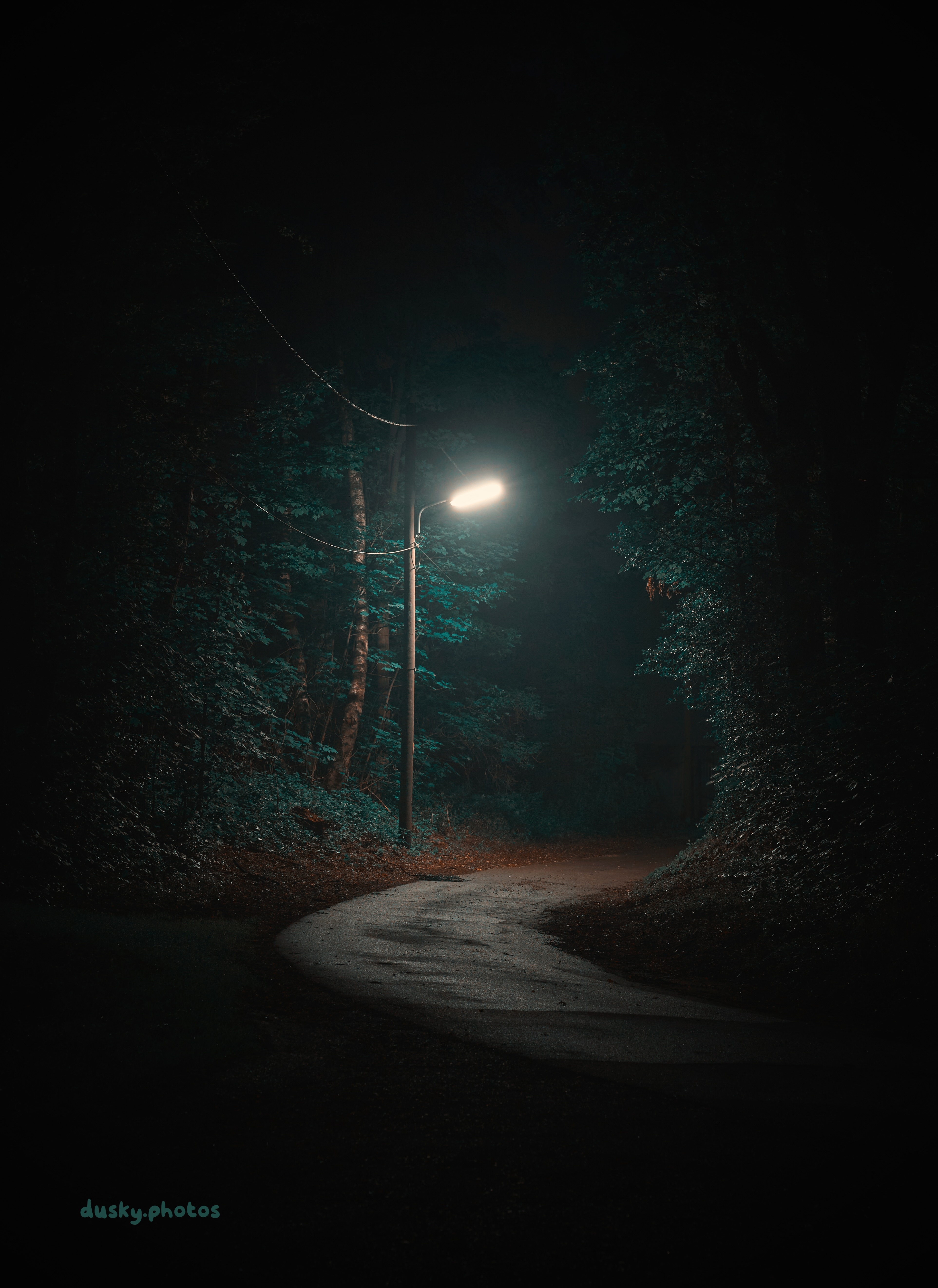 A winding street in the woods, one singular street light with overhead wiring is lighting the very dark scene from the center of the picture. The street and overhead wire reflect some of the light because they're wet, it looks like it recently rained. The streetlight lights only the center of the scene, the corners are pitch black. The colors aren't 100% correct, the trees have a very dark green color with a tint of blue in them, kind of like a blueish teal?